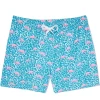 Men's Chubbies Domingos Are For Flamingos 5.5" Swim Trunks -Fashion Clothing Shop chubbies mens the domingos are for flamingos 109201 02 brightblue front 71070.1618003374