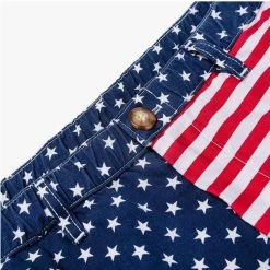 Men's Chubbies 5.5" The 'Mericas Cotton Swim Trunks -Fashion Clothing Shop mens chubbies 5.5 the mericas cotton swim 001201 12 closeup 63980.1621885664