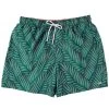 Men's Southern Marsh Dockside Palmdale Playa Swim Trunk
